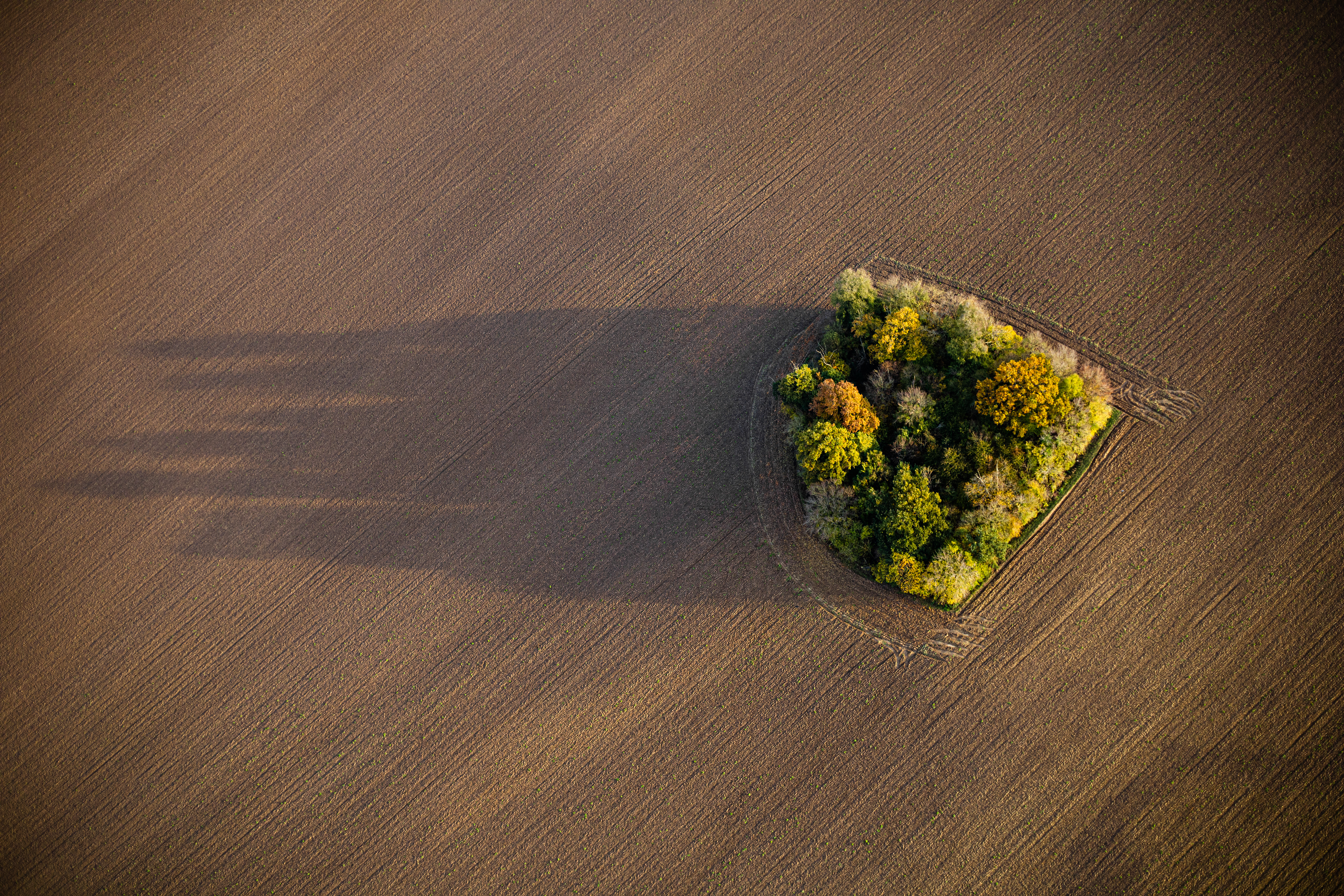 Seine et Marne, la terre